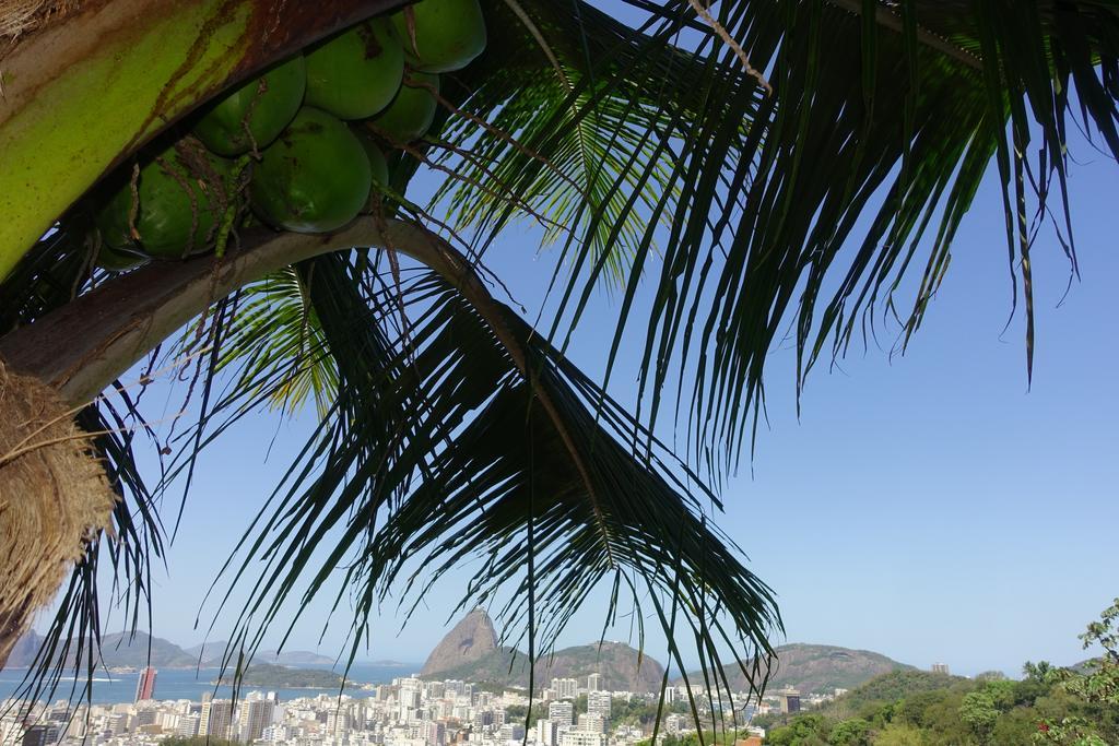 里约热内卢 法未林哈旅舍旅舍 外观 照片